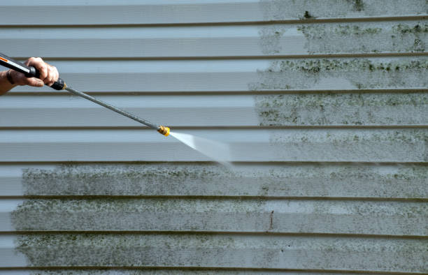 Best Commercial Mold Removal  in Bunkie, LA