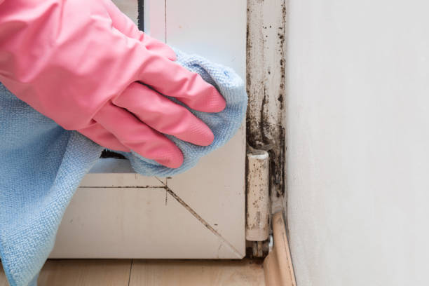 Best Residential Mold Removal  in Bunkie, LA