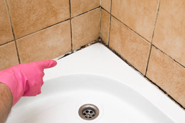 Best Office Mold Removal Services  in Bunkie, LA